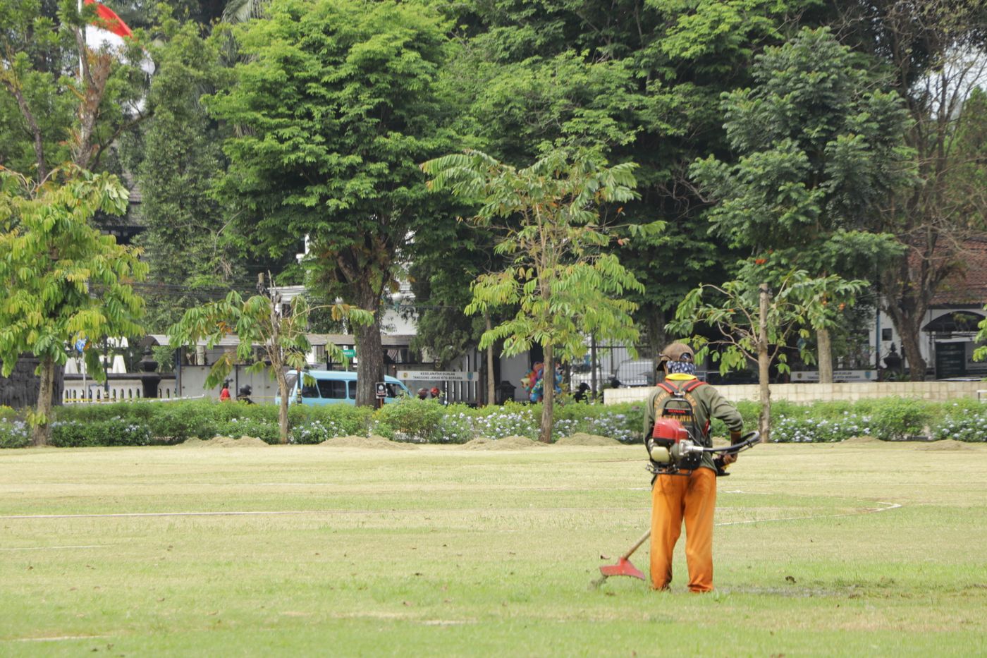 A grounds worker cutting grass in a park