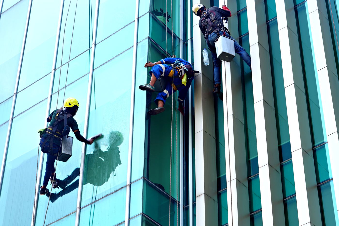 Window cleaners working on a modern glass building